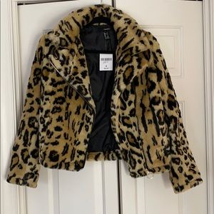 Cheetah Jacket